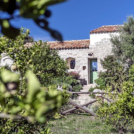 Gallicantu Stazzo Retreat Luogosanto Ngoại thất bức ảnh