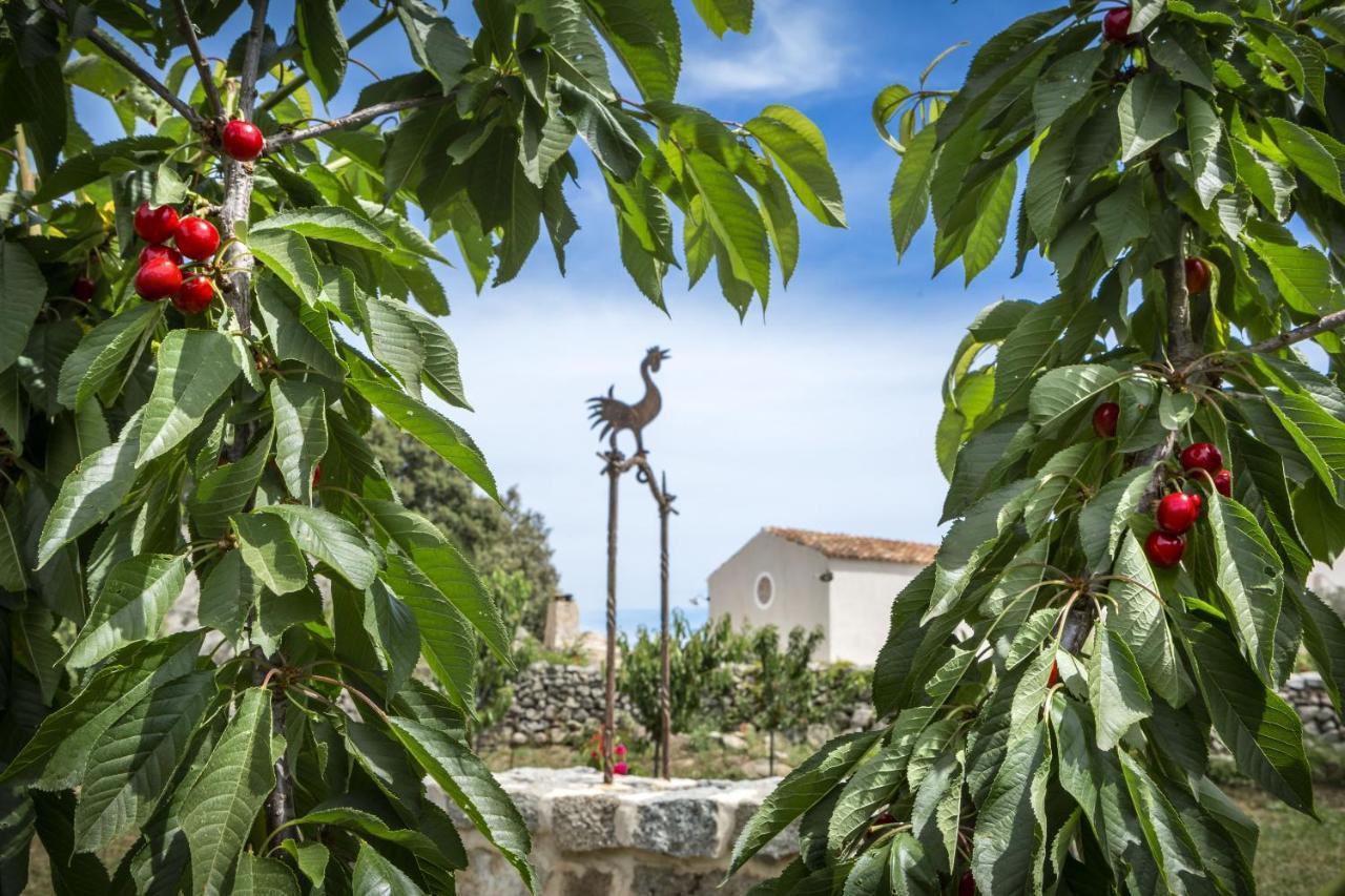 Gallicantu Stazzo Retreat Luogosanto Ngoại thất bức ảnh
