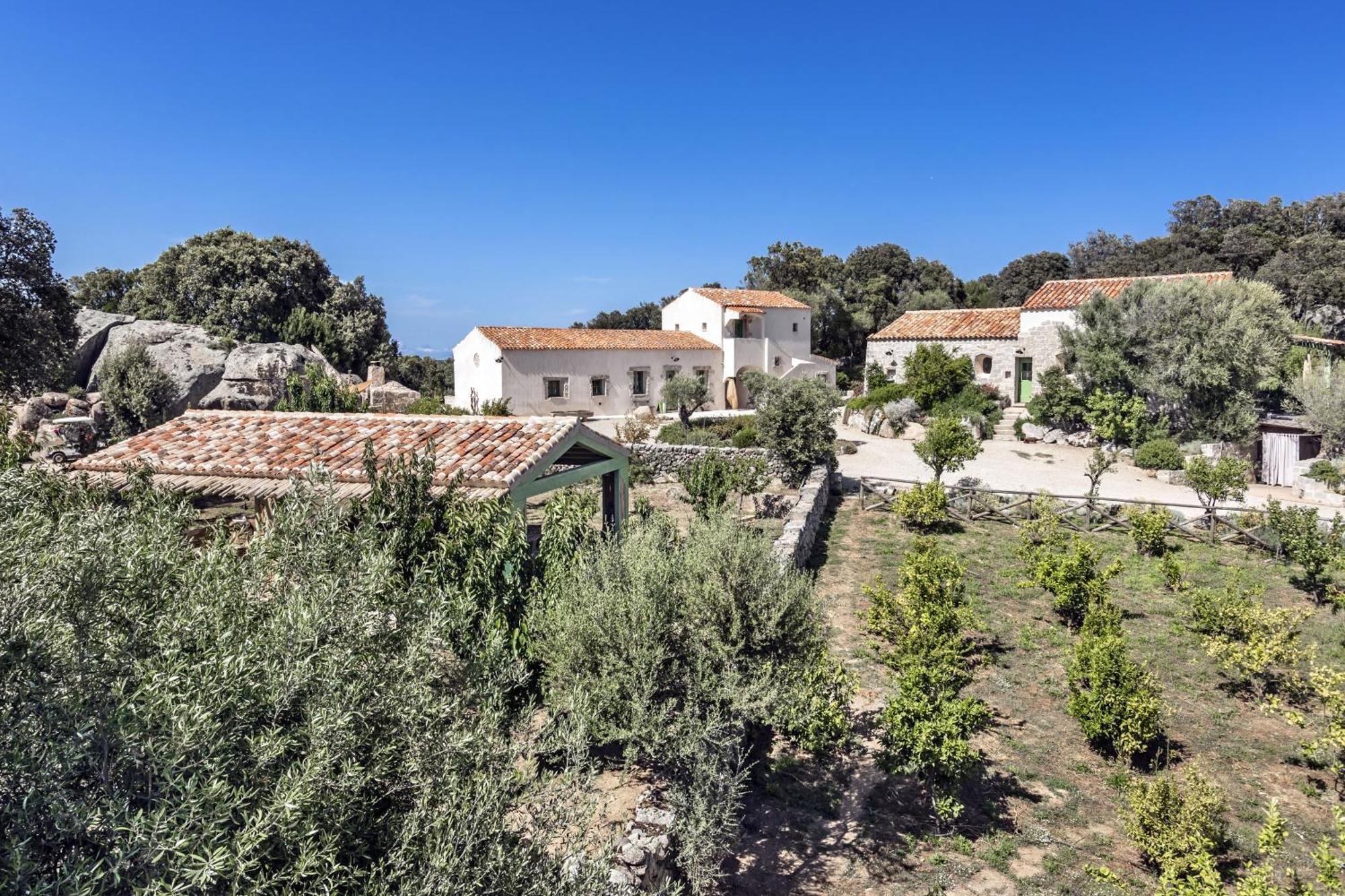 Gallicantu Stazzo Retreat Luogosanto Ngoại thất bức ảnh